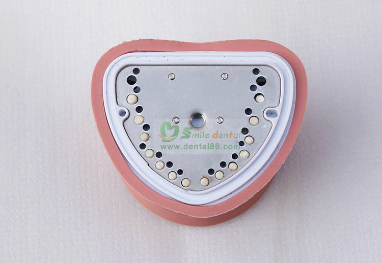 TM-A4 Standard Model